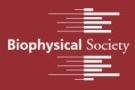 Biophysical Society 56th Annual Meeting